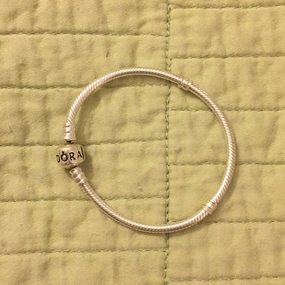 Silver Pandora Bracelet